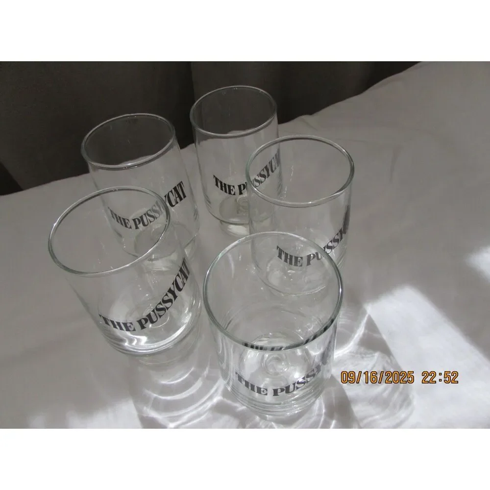 Vintage barware cocktail glasses set of 5 The Pussycat mid-century modern cat